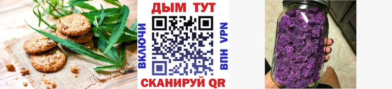 где купить   Новый Уренгой  Canna-Cookies конопля 