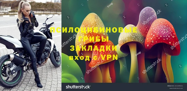 крисы Аркадак