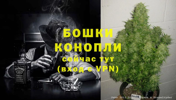 гидра Балабаново