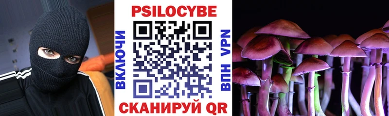 Псилоцибиновые грибы Cubensis  как найти закладки  Новый Уренгой 