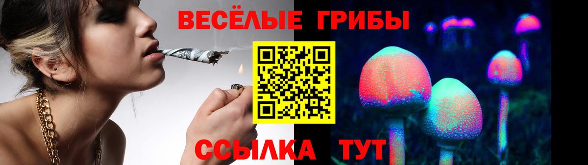 Новый Уренгой  купить   Псилоцибиновые грибы ЛСД  Вход с VPN  Галлюциногенные грибы мицелий 